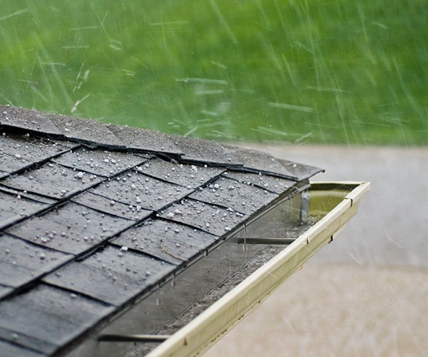 Monitor the Outdoors