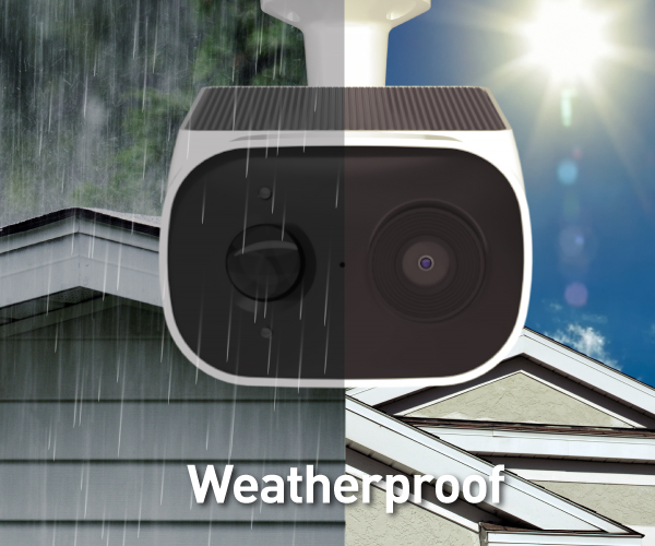 Reliable Performance Year-round